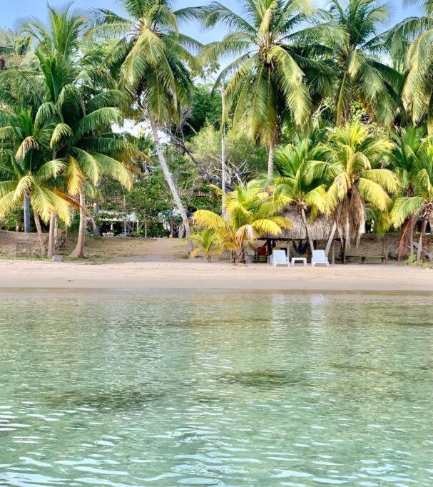 Casita Caribe En Reserva Natural, Playa Privada, Kayaks, Wifi, Aire Acondicionado San Onofre Kültér fotó