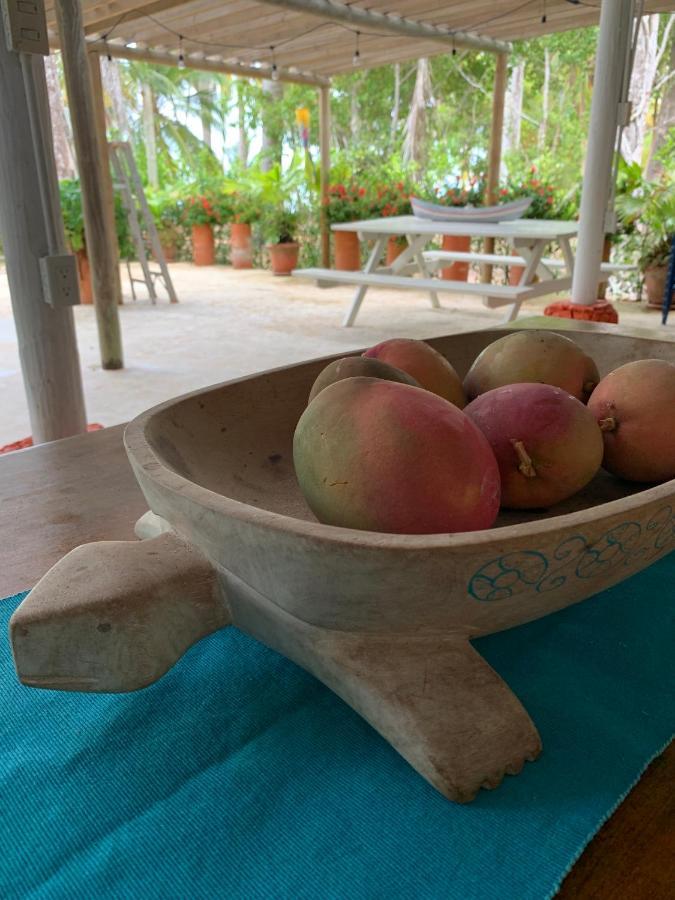 Casita Caribe En Reserva Natural, Playa Privada, Kayaks, Wifi, Aire Acondicionado Villa San Onofre Kültér fotó